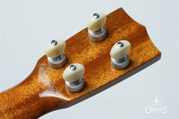 ECO-C+ - Koa